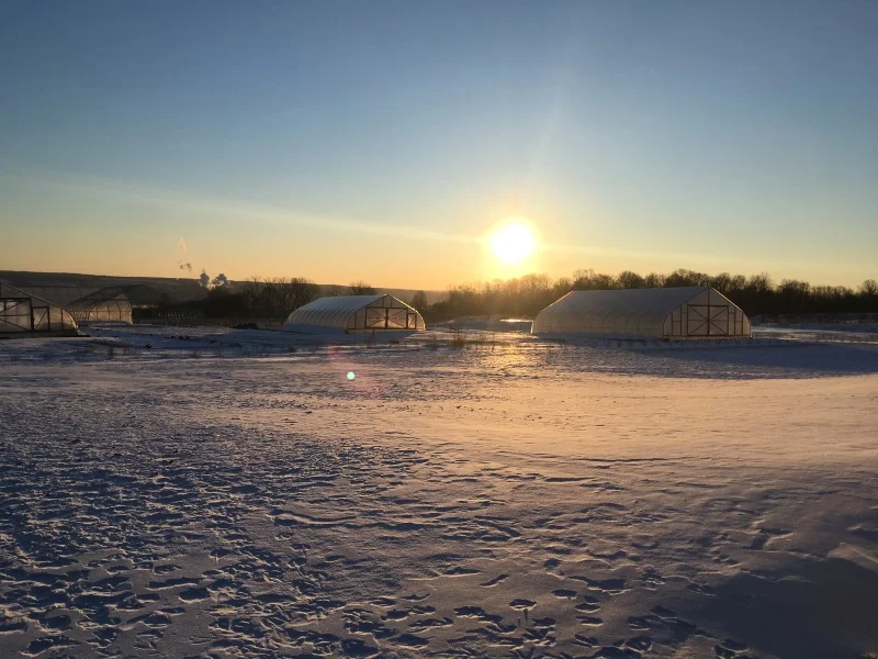 farmscape Jan 2019.jpg