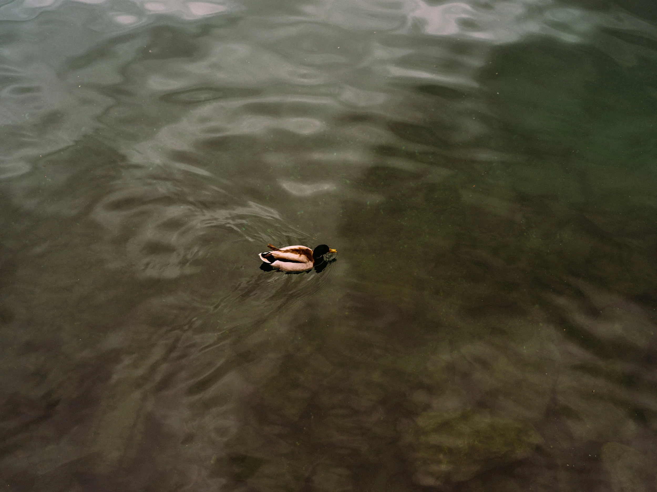 Nick-Johnson-Photography-2019-Italy-0012665.jpg