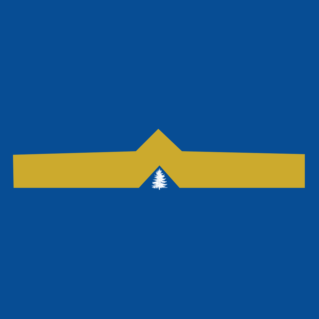 Final_Siah_Animation.gif