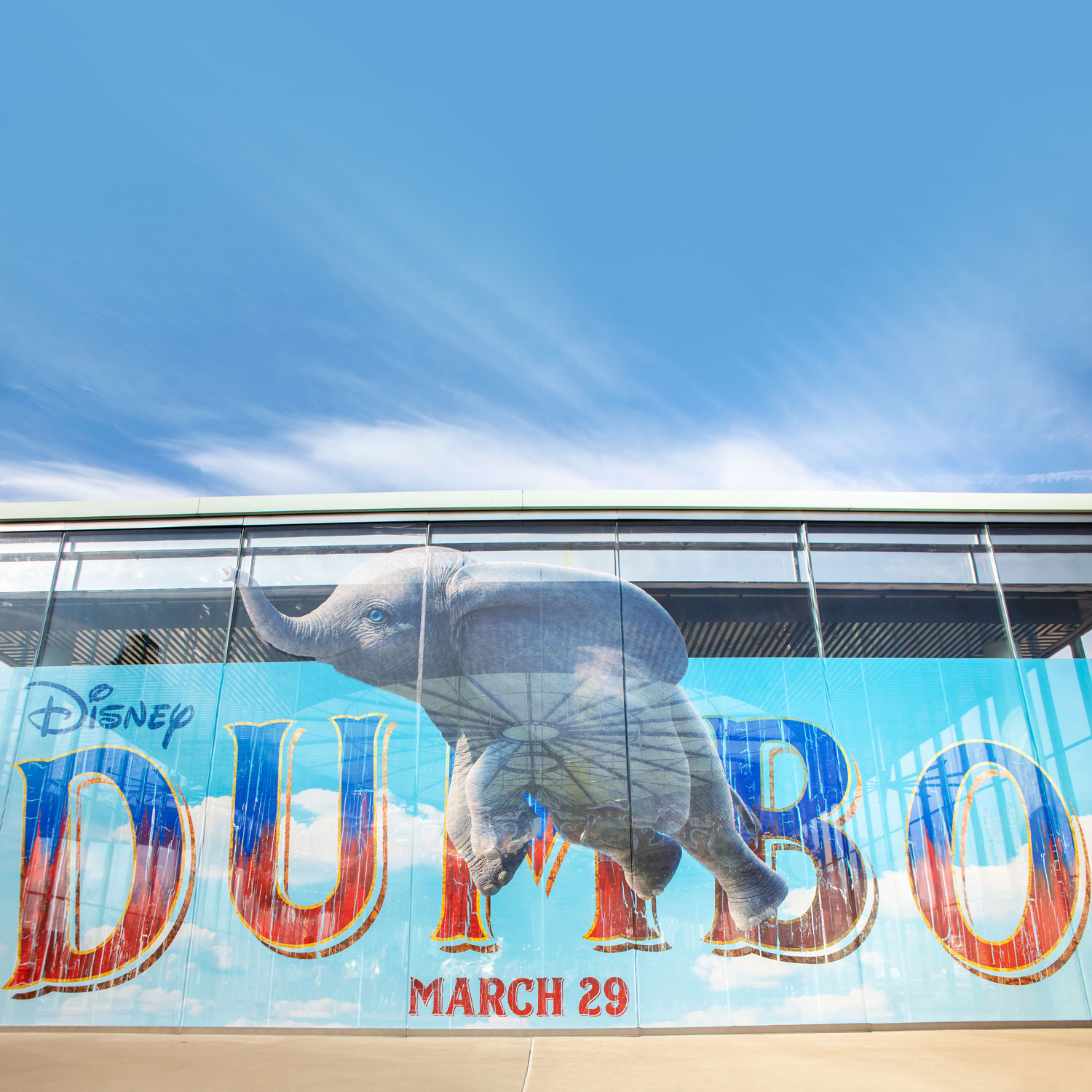 Dumbo-RubikMarketing-Carousel.jpg