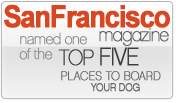 sf_magazine_top_five.png