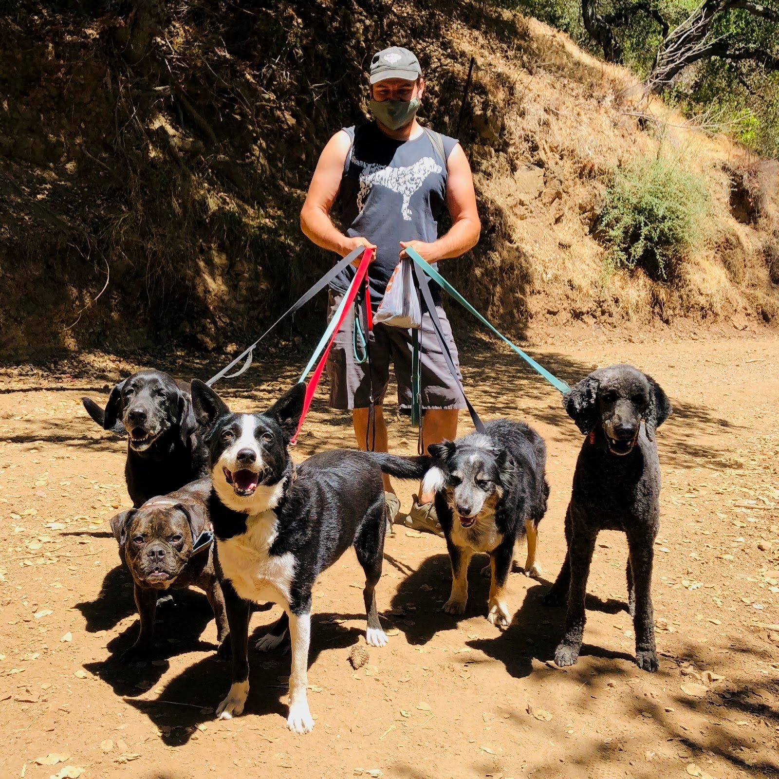 Group Trail Hikes East Bay Dog Walking and Pet Sitting Oakland