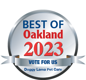 2023OaklandVoteForUs-Doggy Lama Pet Care.png