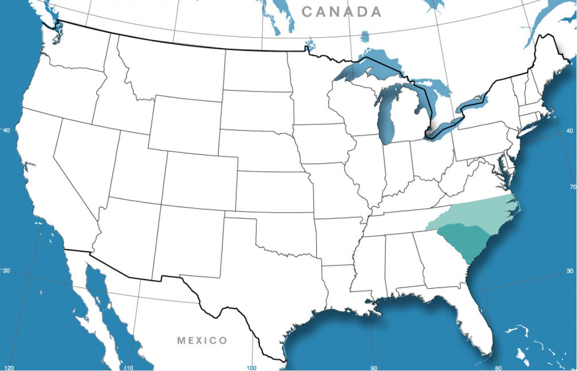 North and South Carolina - CCFI's Geogrphic Scope
