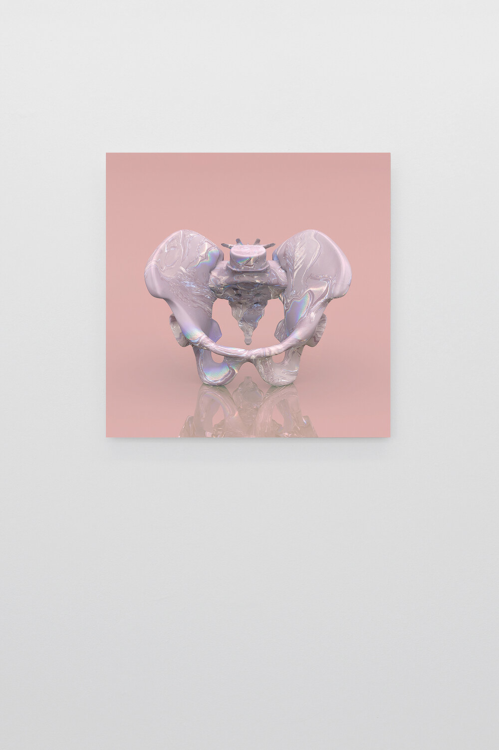   Pelvis   2016, digital sculpture, inkjet printed on paper, mounted on plexiglass, 75 × 75 cm 
