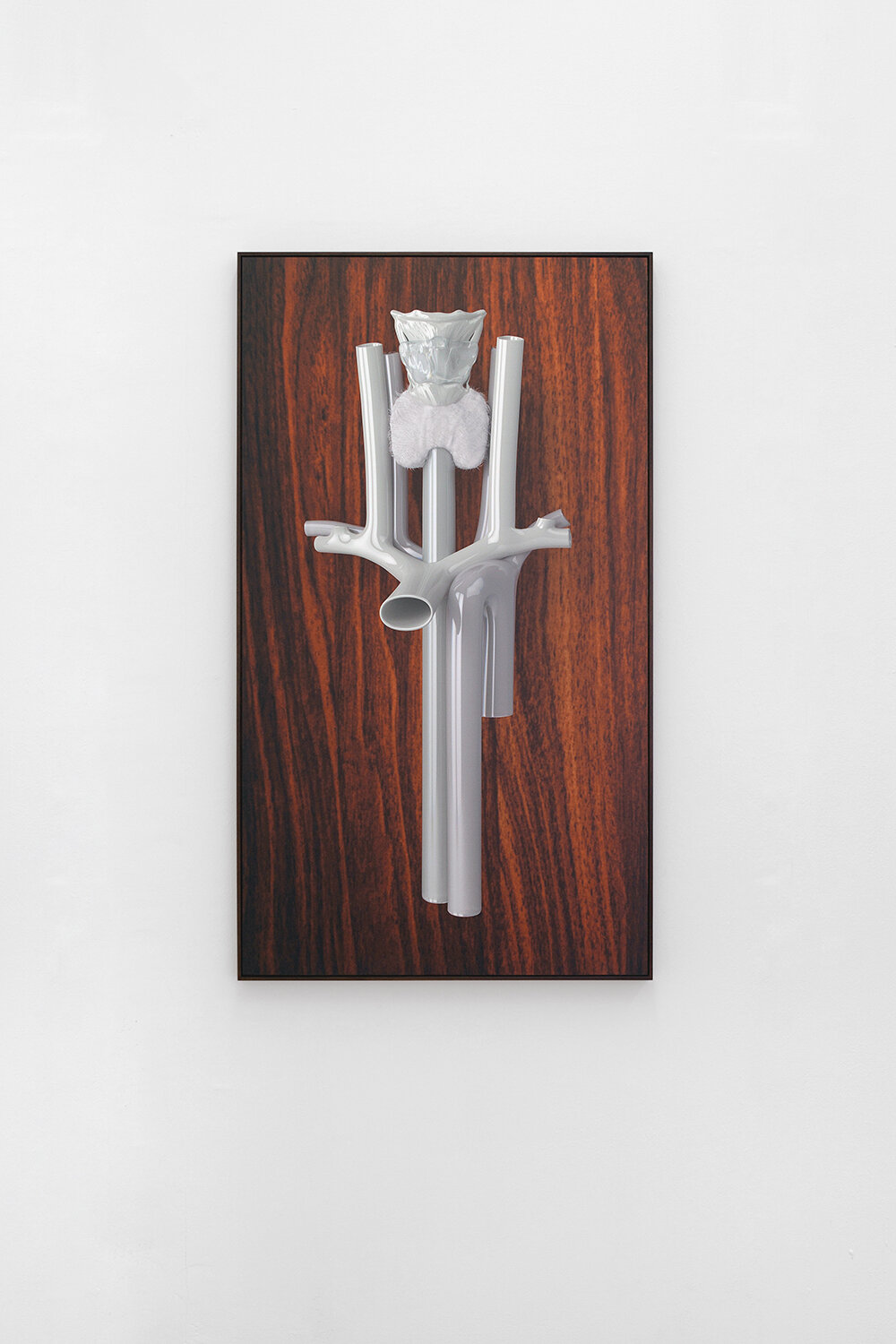   Neck   2016, digital sculpture, inkjet printed on paper in artist’s frame (American walnut), 120 × 70 cm 