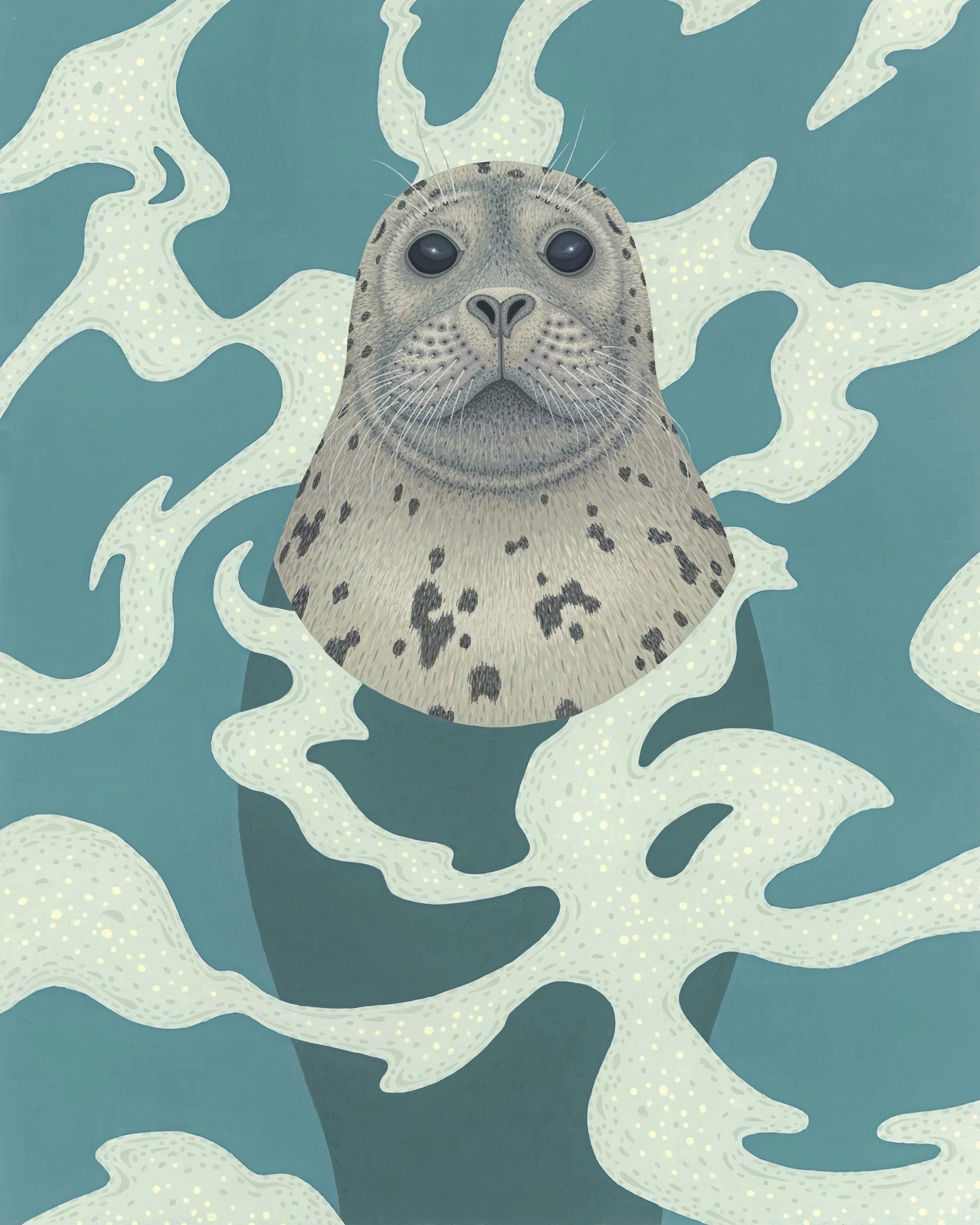 Harbor Seal