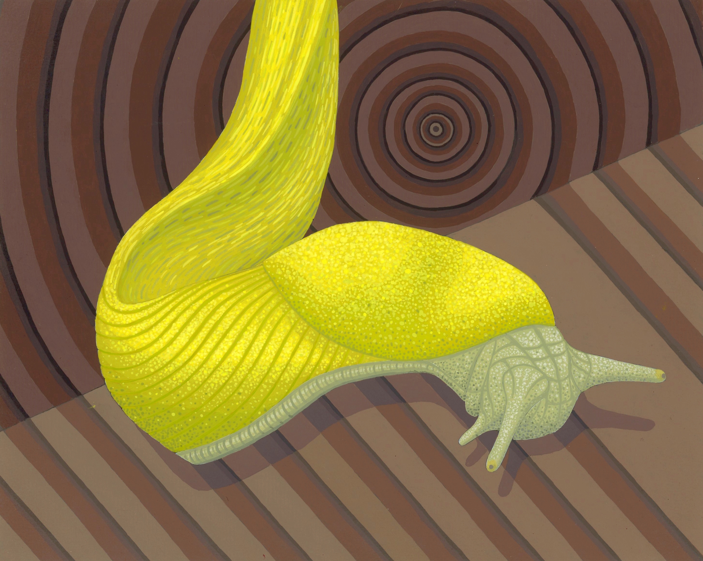 Banana Slug