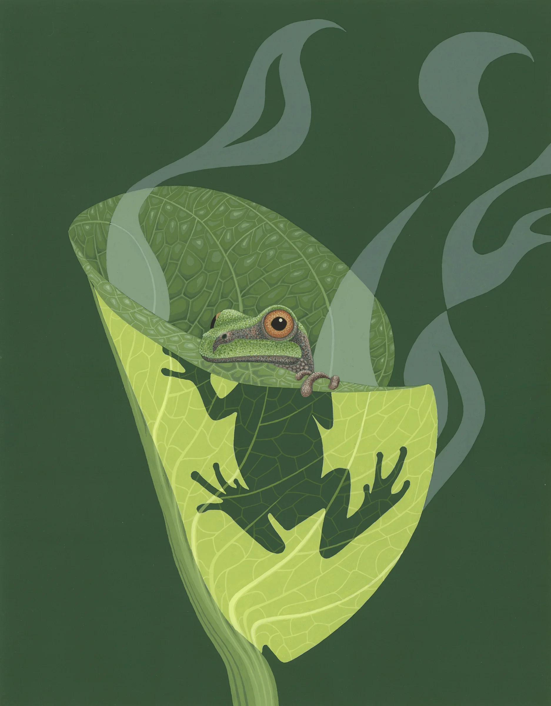 Pacific Tree Frog