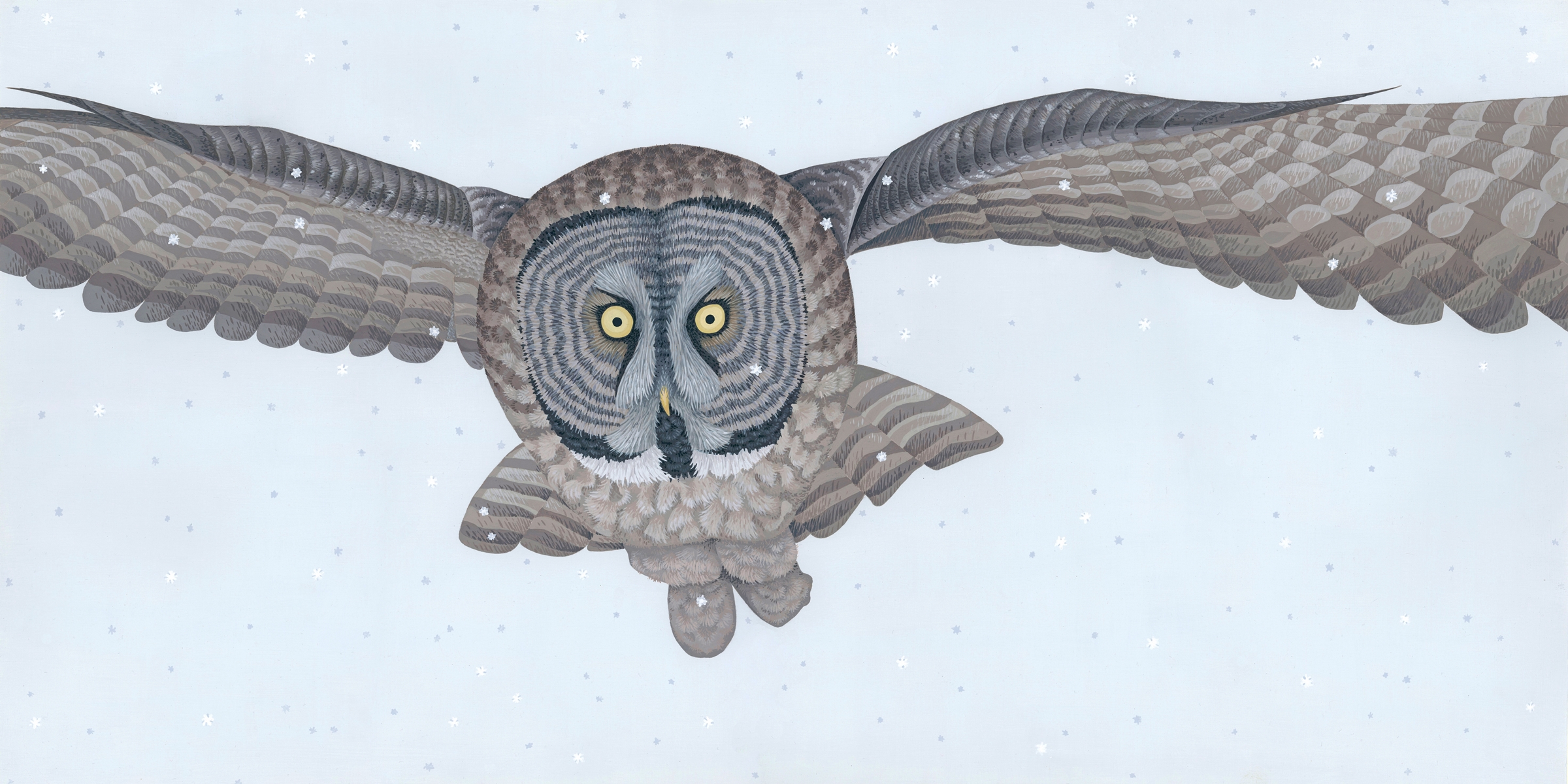 Great Gray Owl