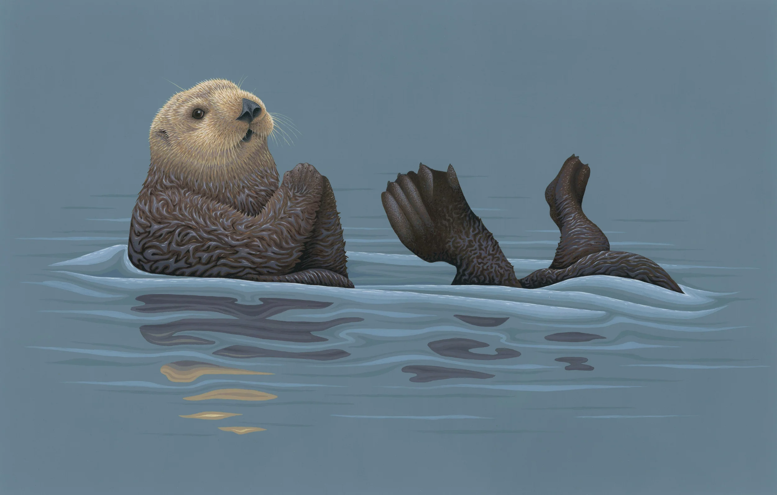 Sea Otter