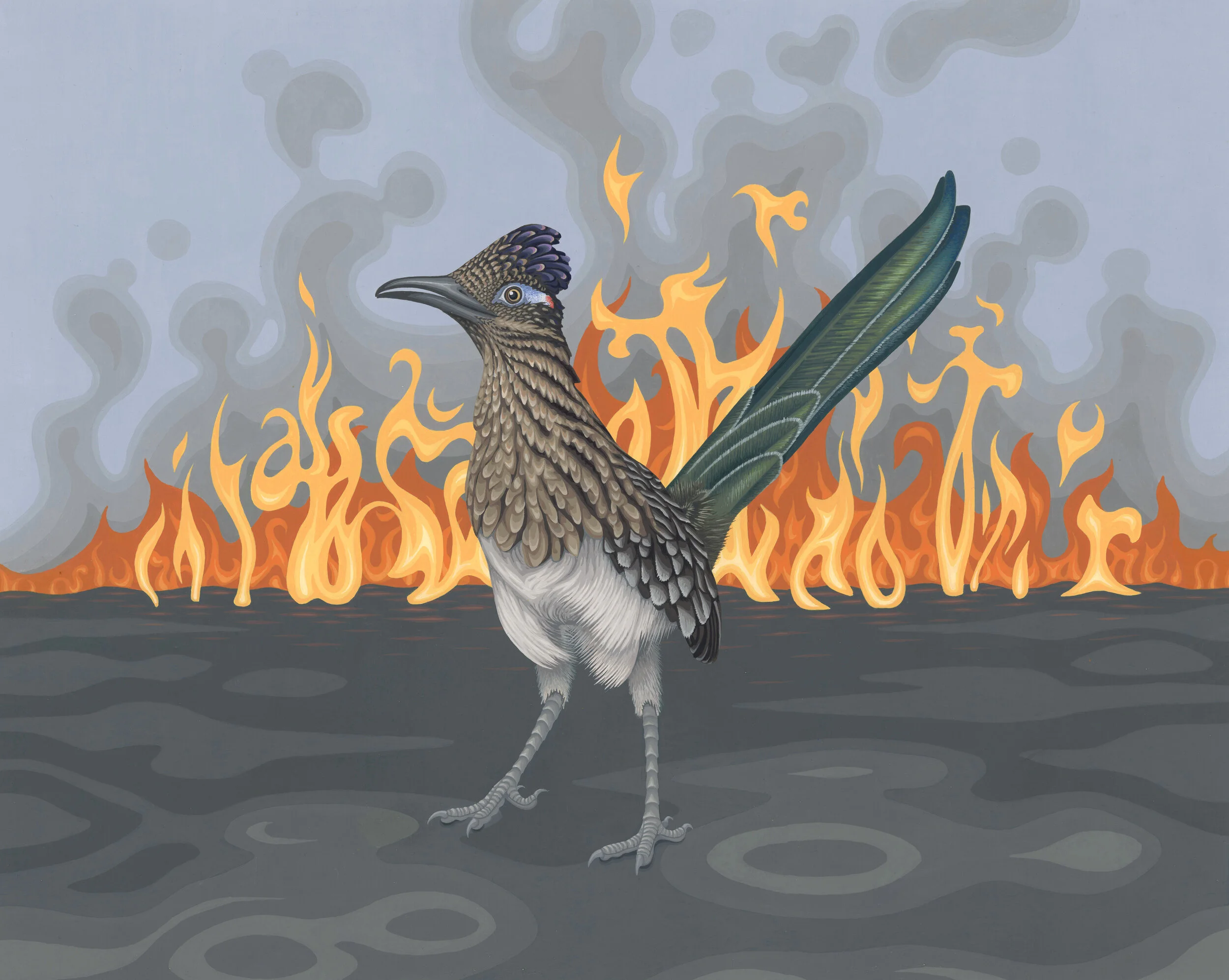 Greater Roadrunner