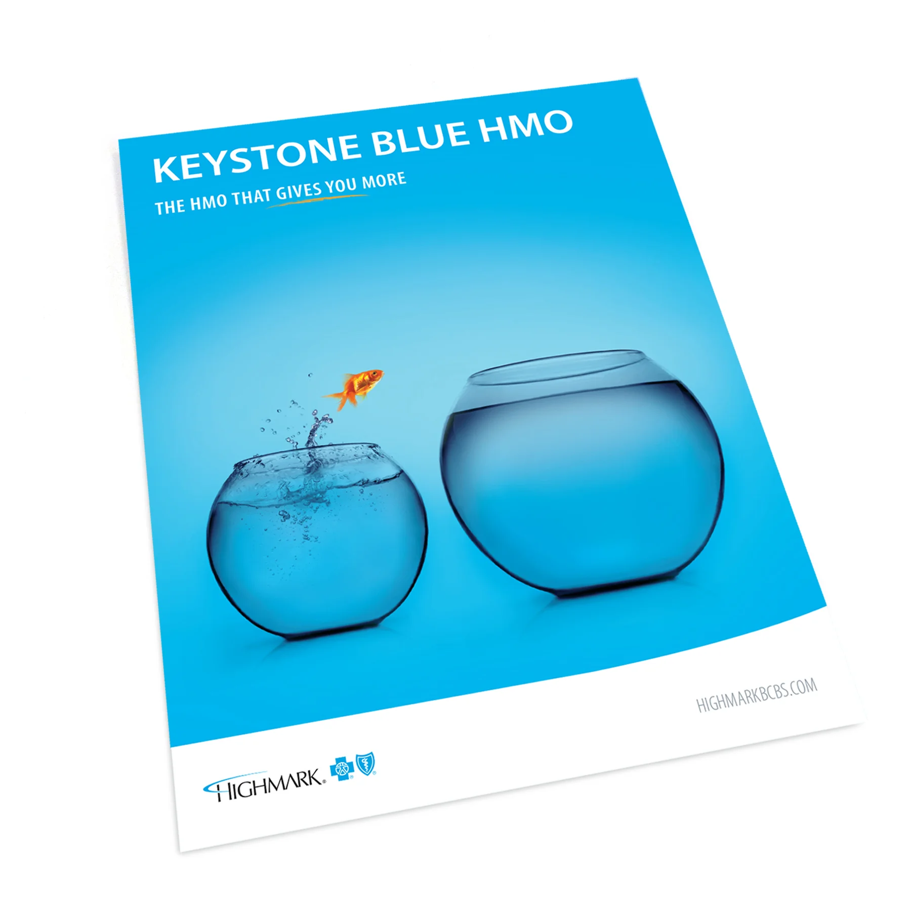 KeystoneBlueHMO.jpg