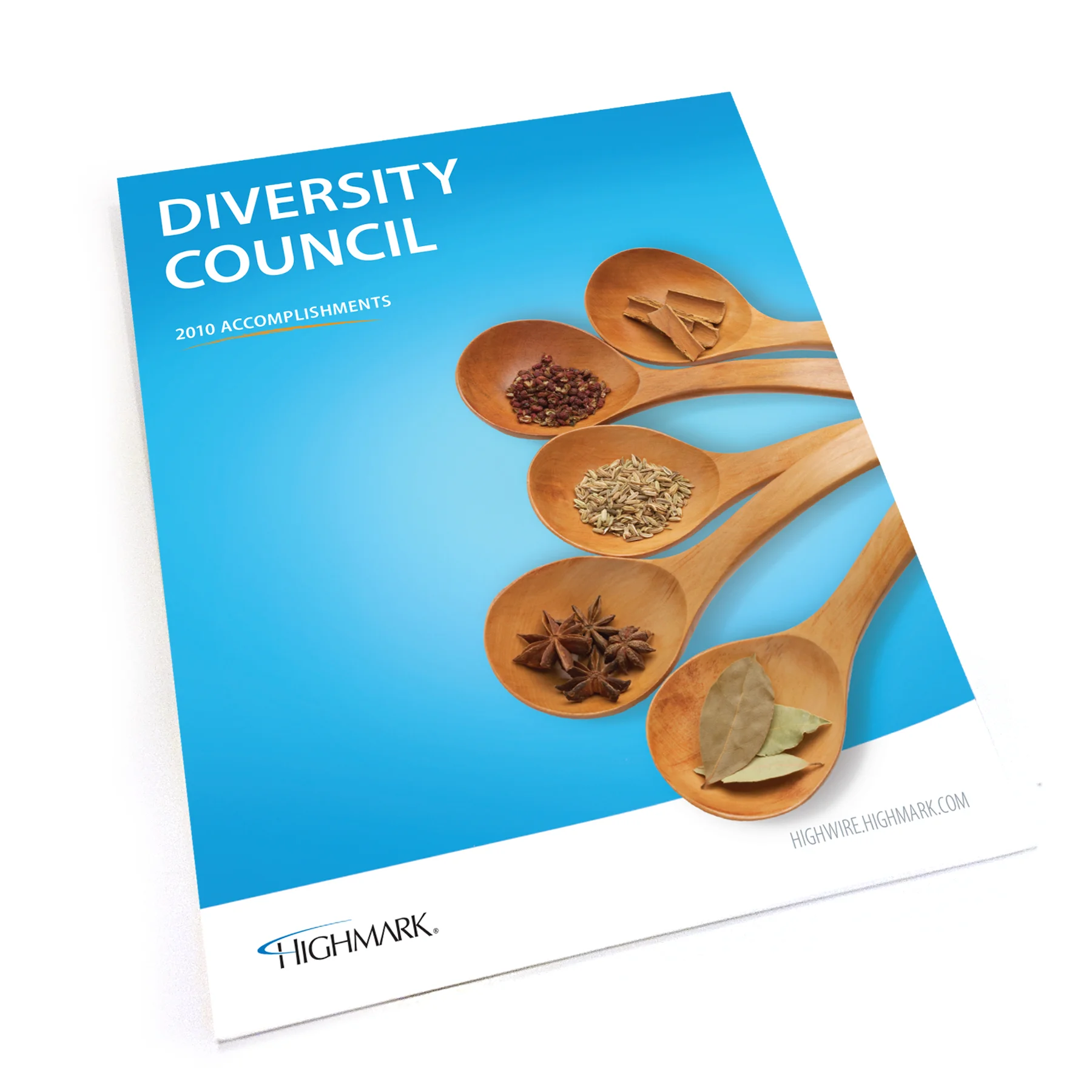 103369_DiversityCouncil.jpg