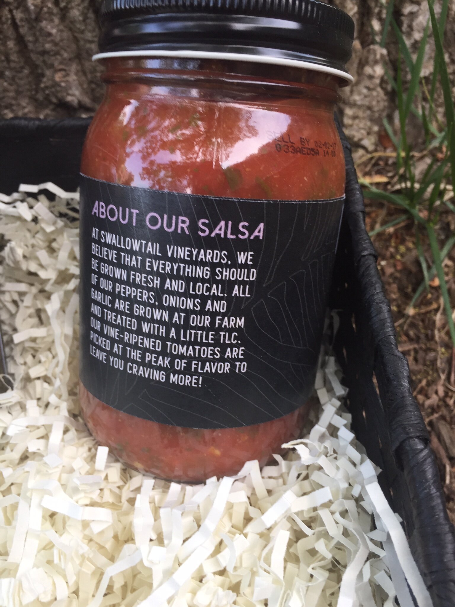 salsa 2.jpg