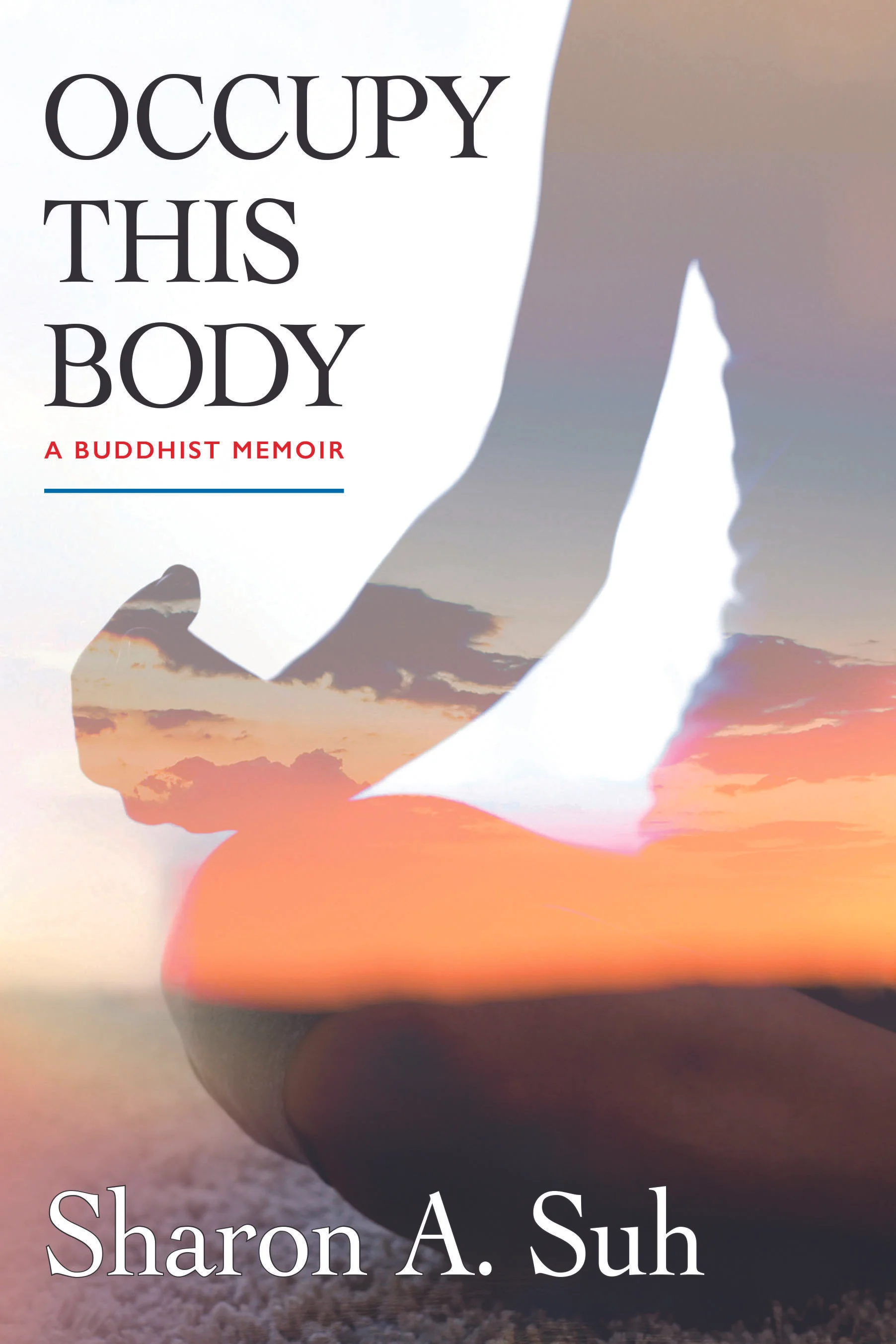 OccupyThisBodybookcover.jpg