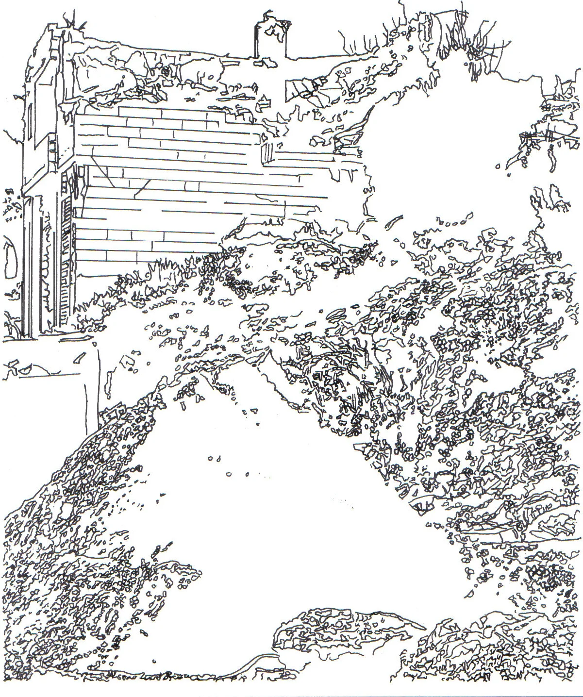 24 hour notice, 2017.

Line Drawing on paper, 21cm X 29.7cm, 2017.

Fool by the Roadside Collection