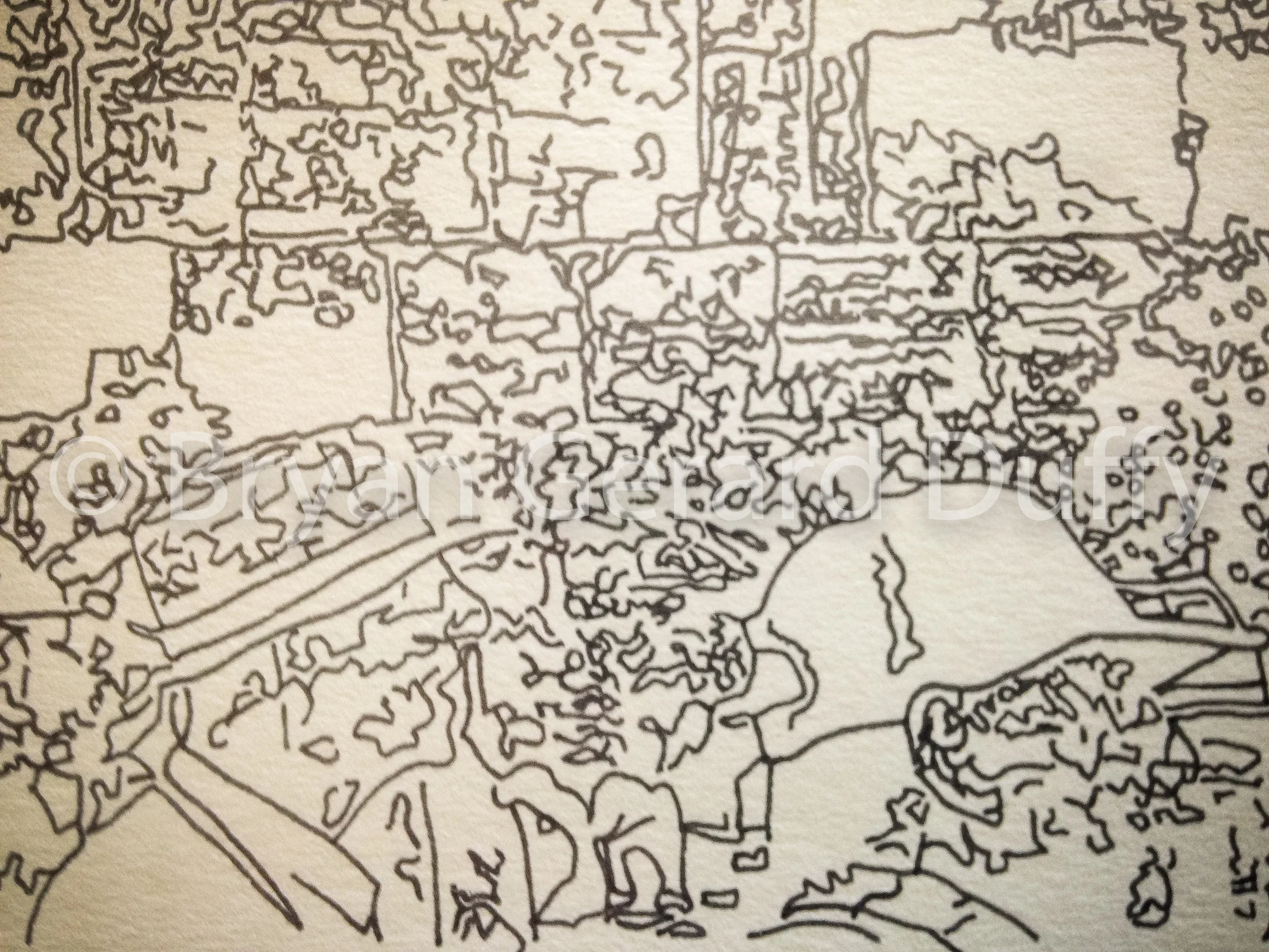 drawings (21 of 28).jpg