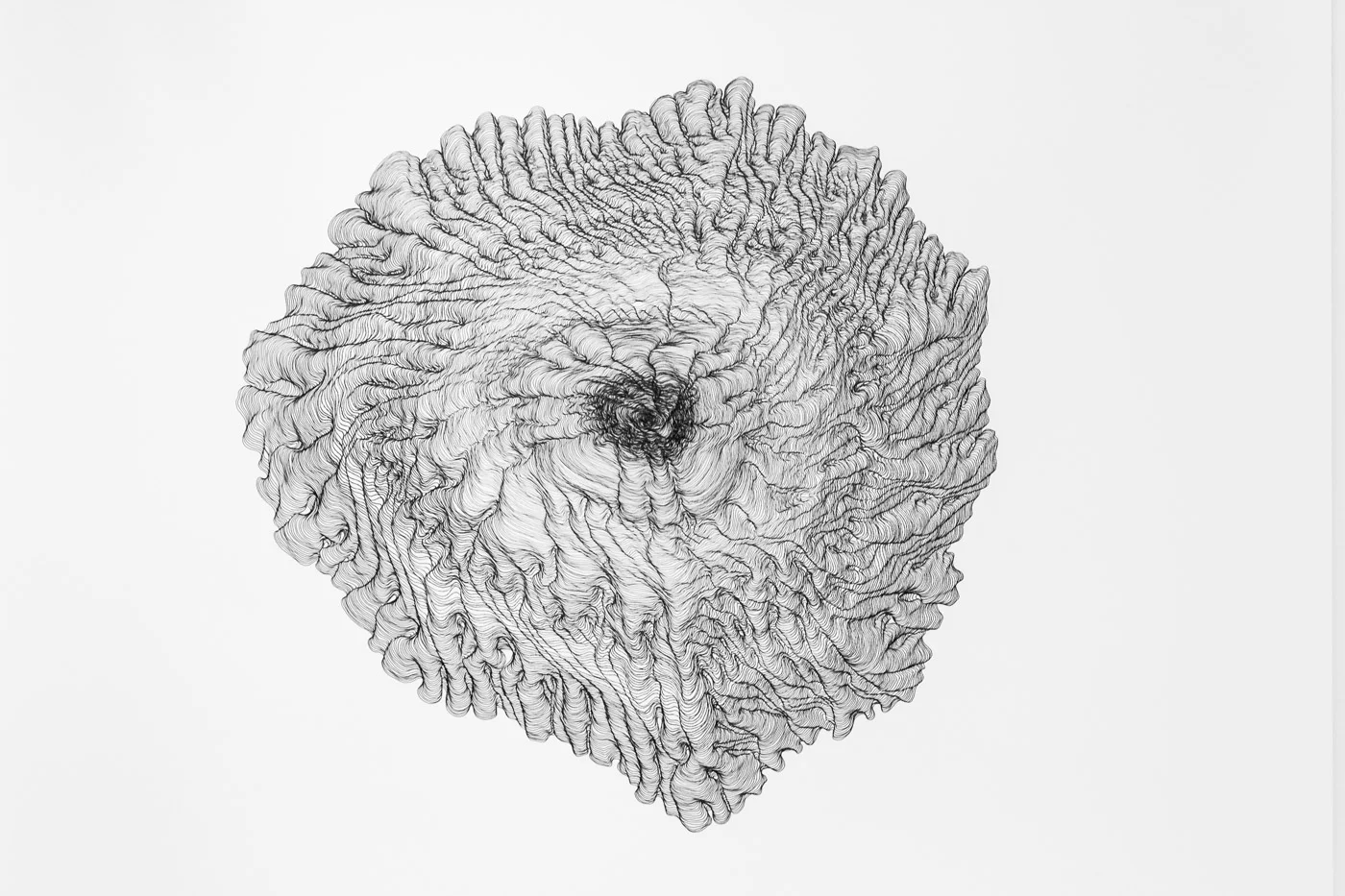 Drawing Collection 2015