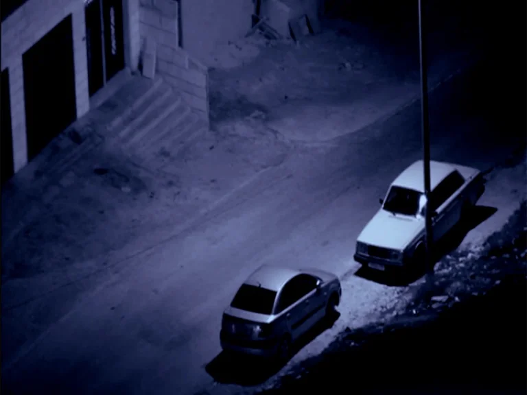 The Fool by the Roadside (2014)