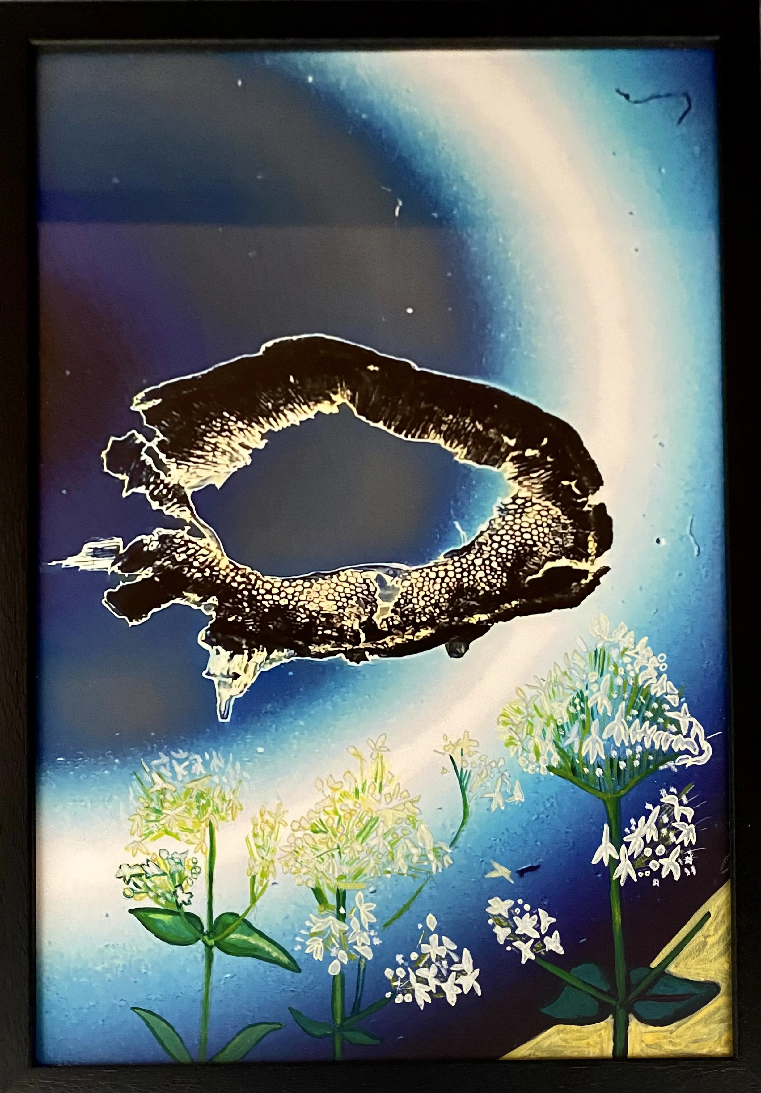 Life on the Corrib I, 2024

Painting. Microscopic image of sword lily stem and watercolour on ayagami-unryu paper.

27cm x 38cm

(framed)