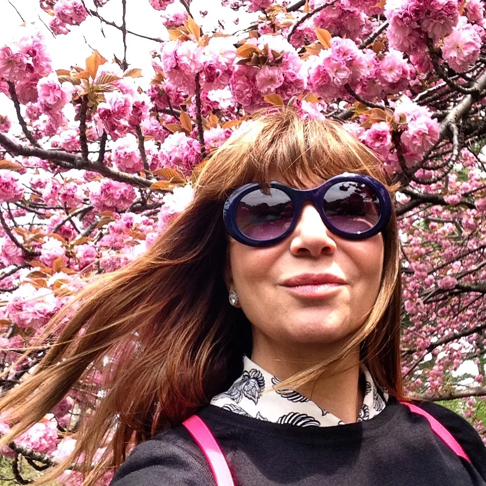 Cherry Blossoms in Tokyo