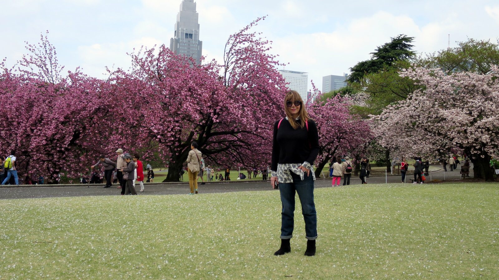 Shades of Pink: Tokyo Cherry Blossoms