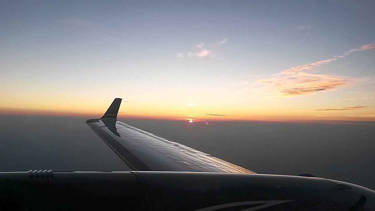 20140725_063601.jpg