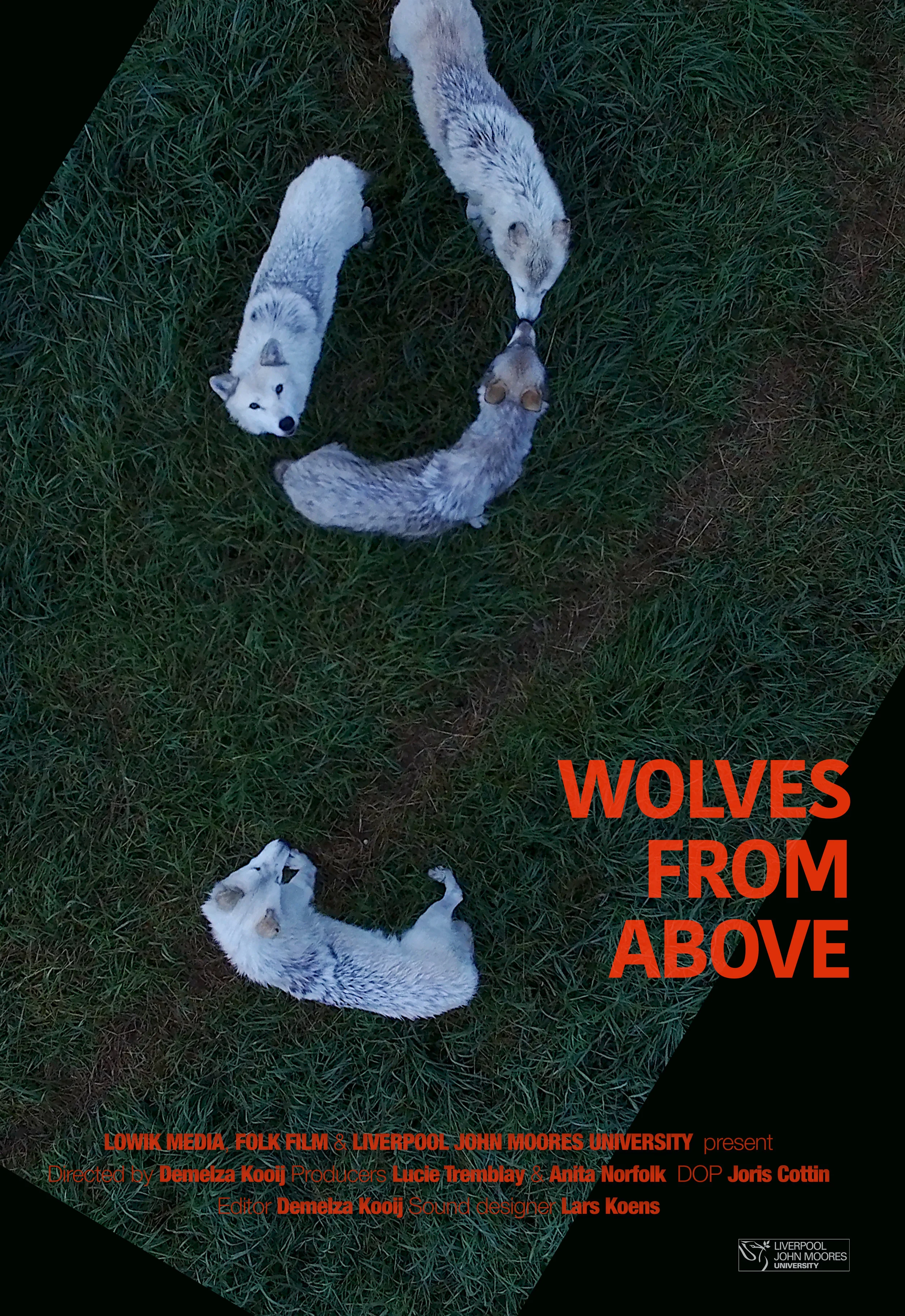 wolves-from-above_poster_kooij.jpg