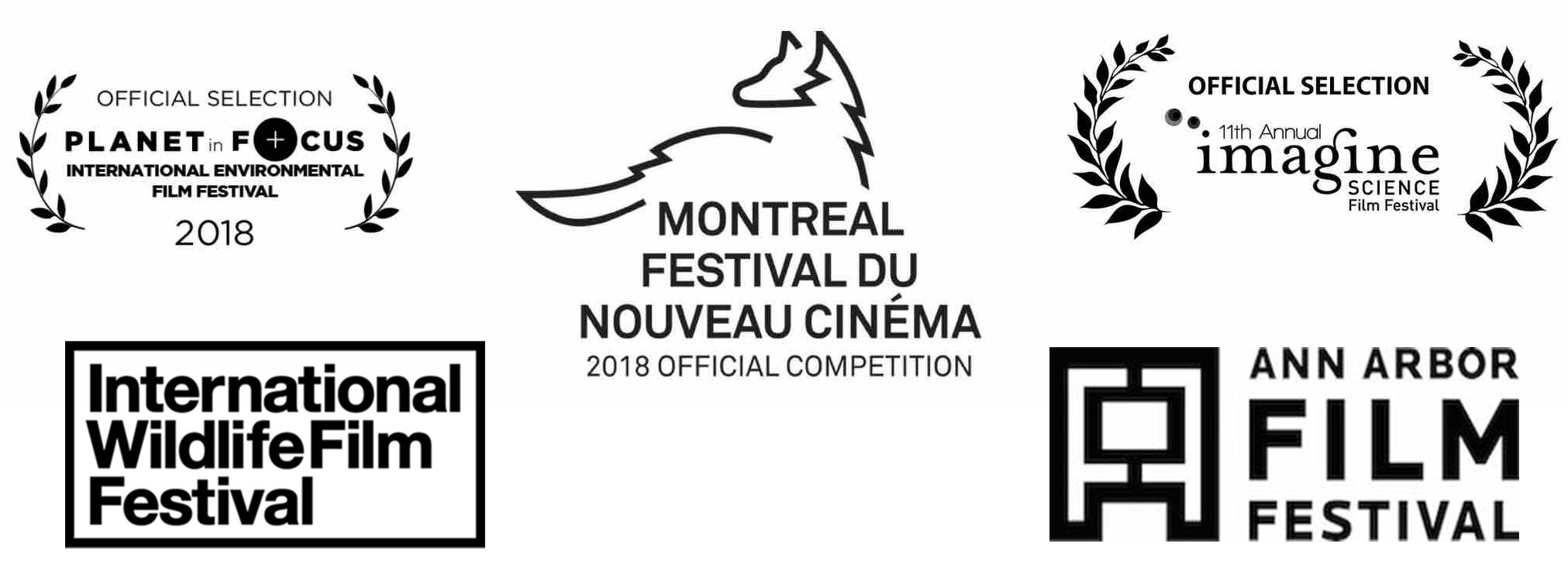 laurels_wolves_kooij.jpg