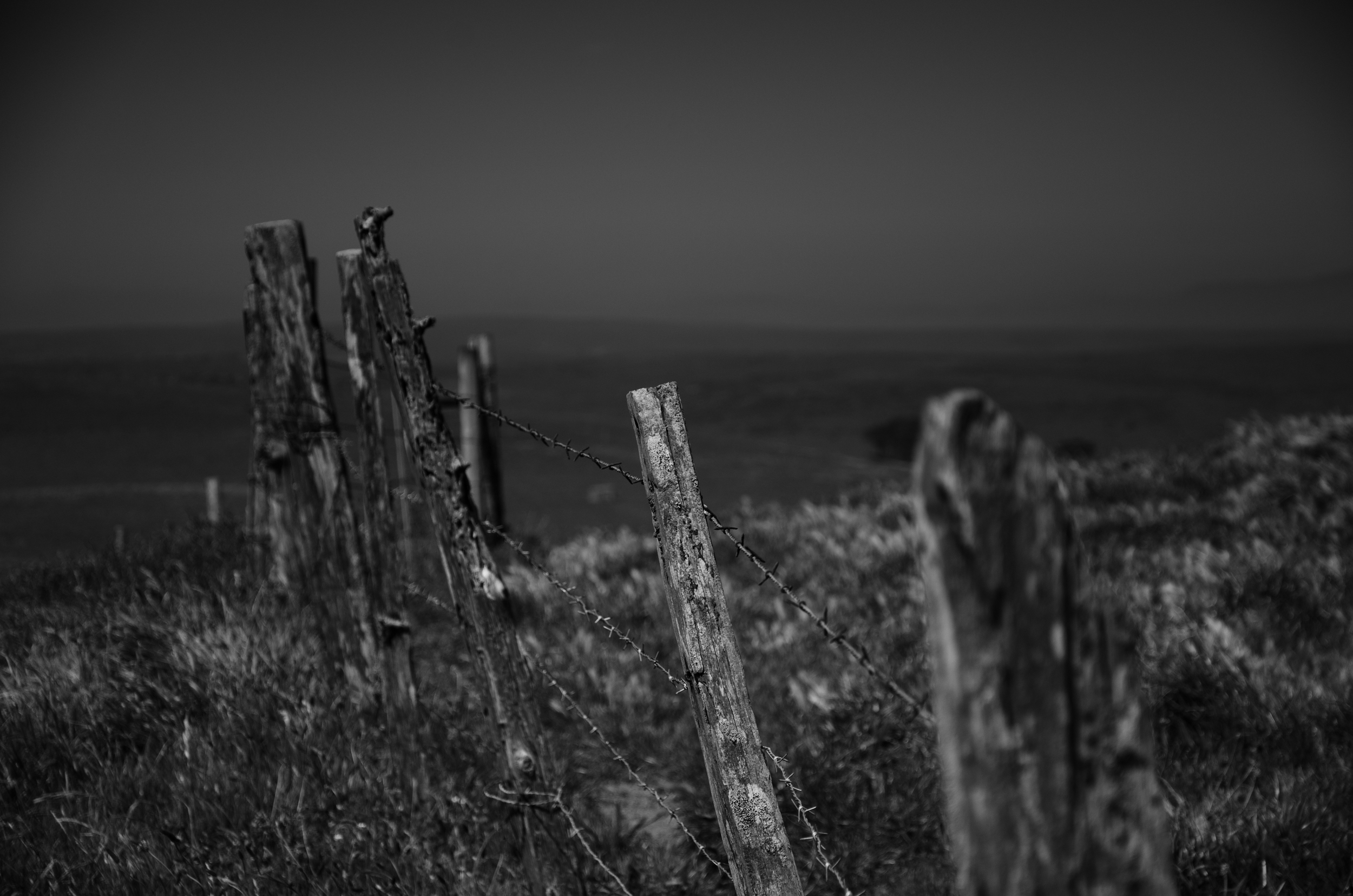 Point Reyes National Park.jpeg