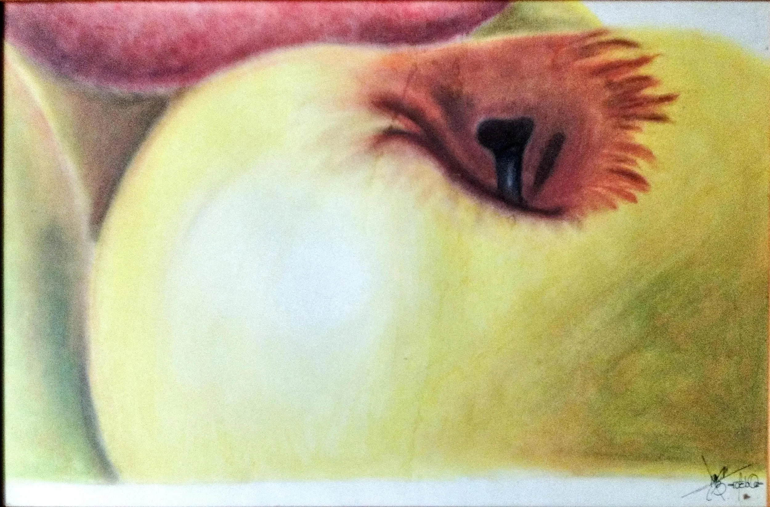 Apple - Pastel Photo Drawing