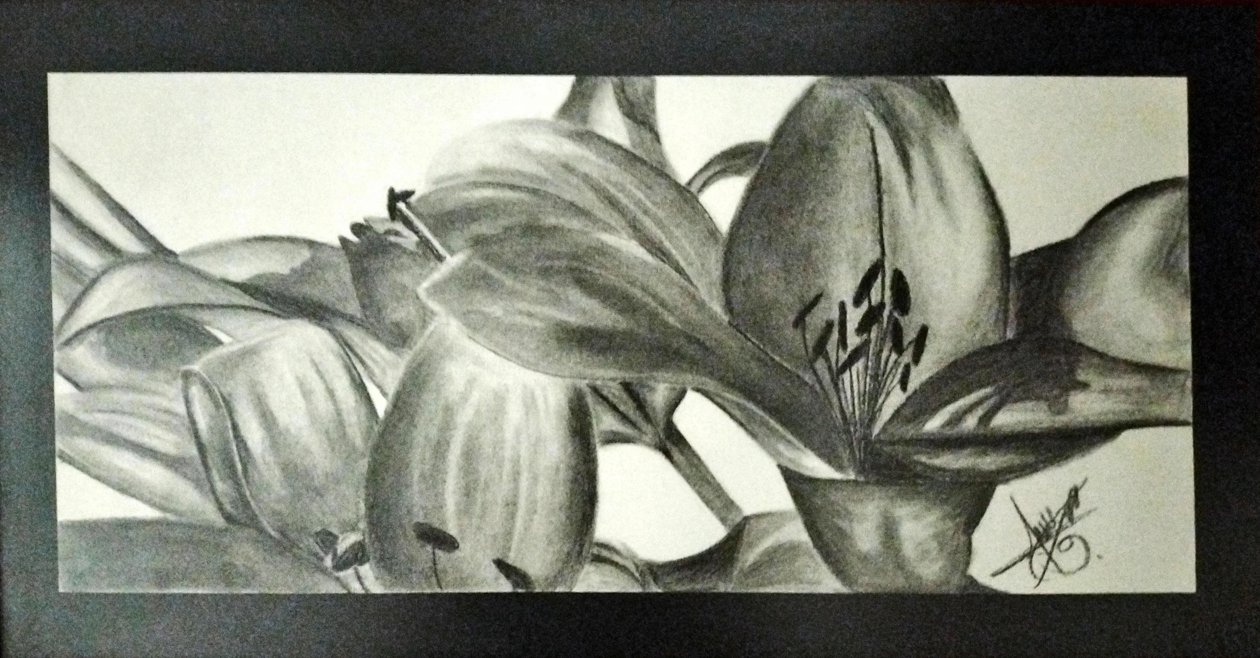 Lilies - Charcoal Photo Drawing