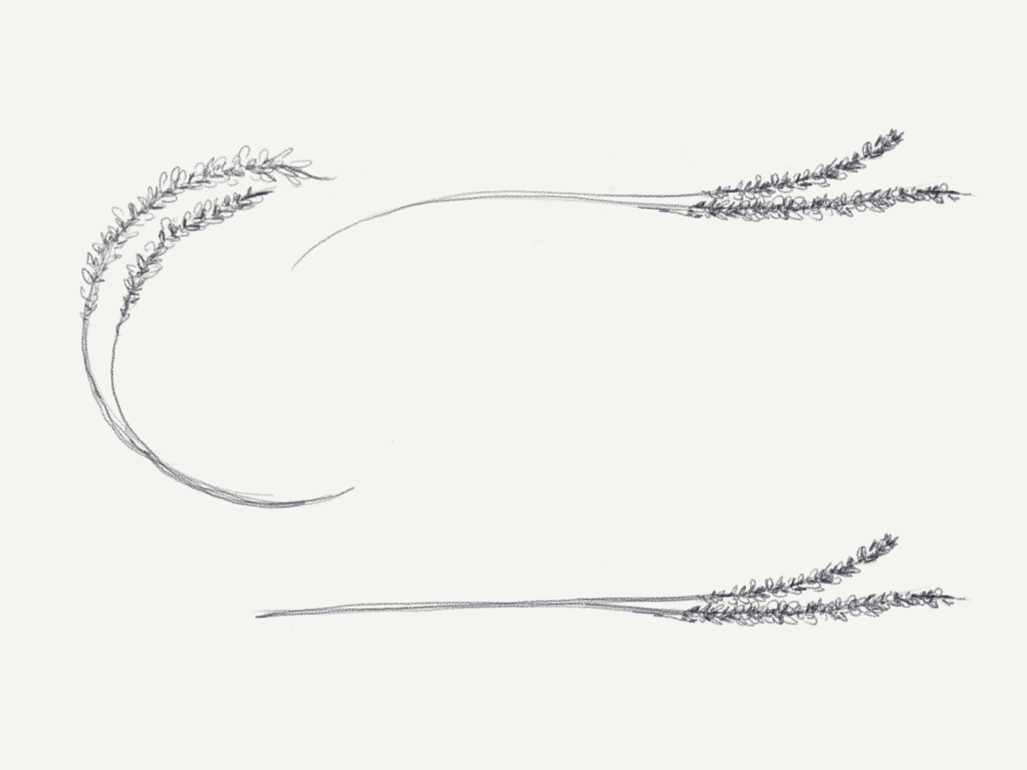 Logo Design - Floral