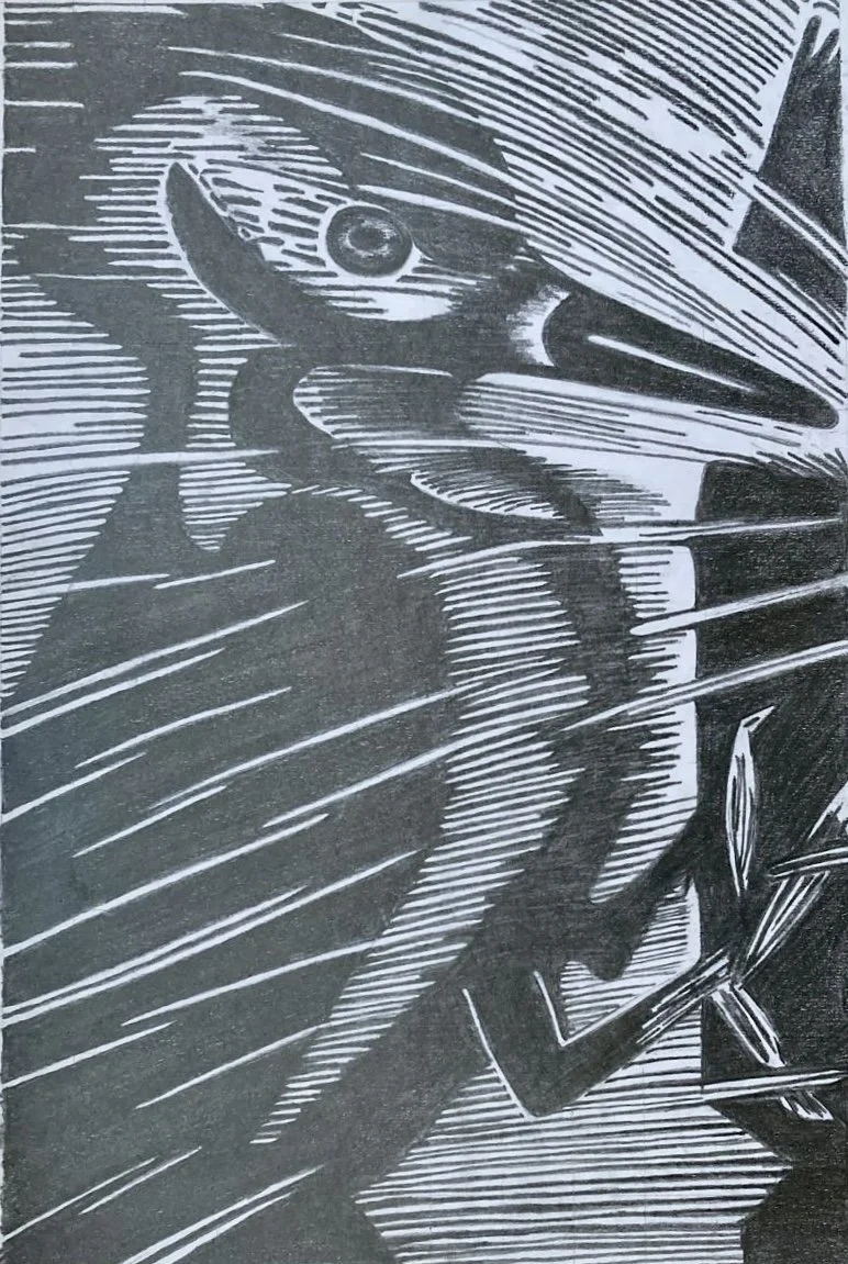 Bird - Line art - dark pencil on white background (positive)