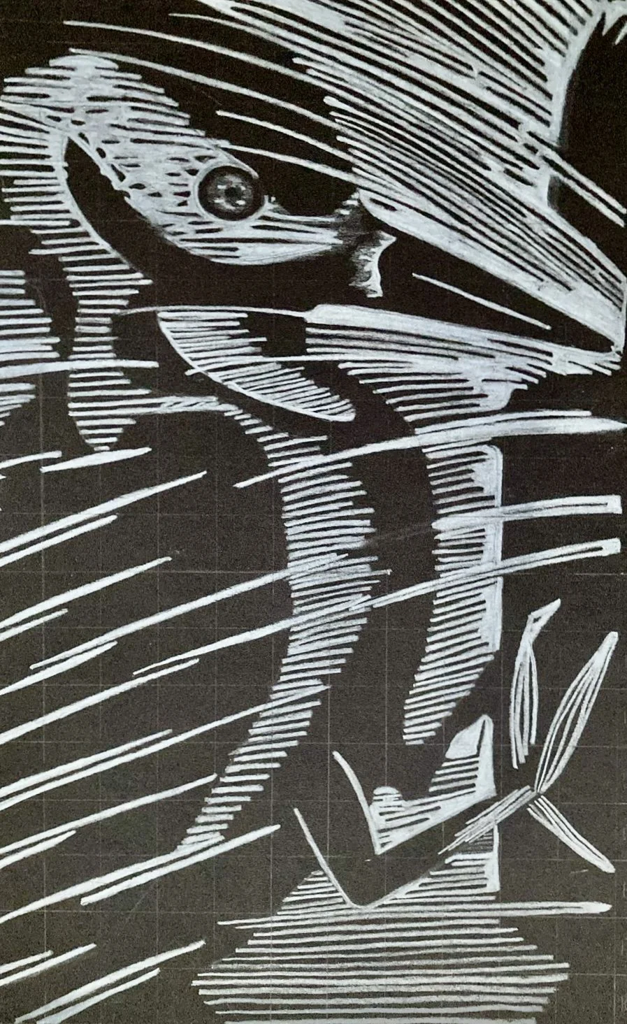Bird - Line Art - white pencil on black background (negative)