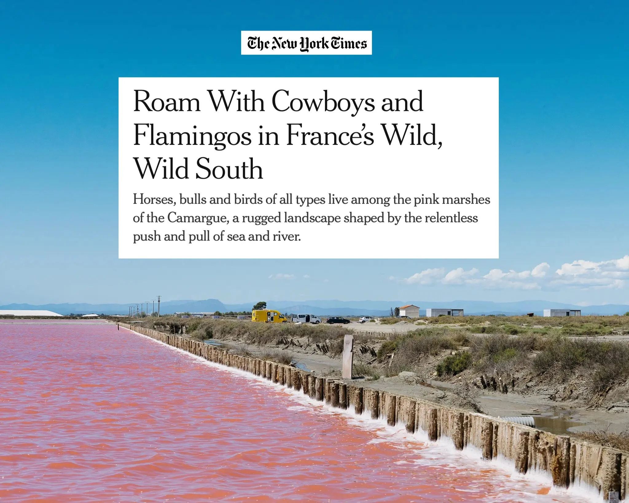 Camargue Guide Alexis Steinman New York Times