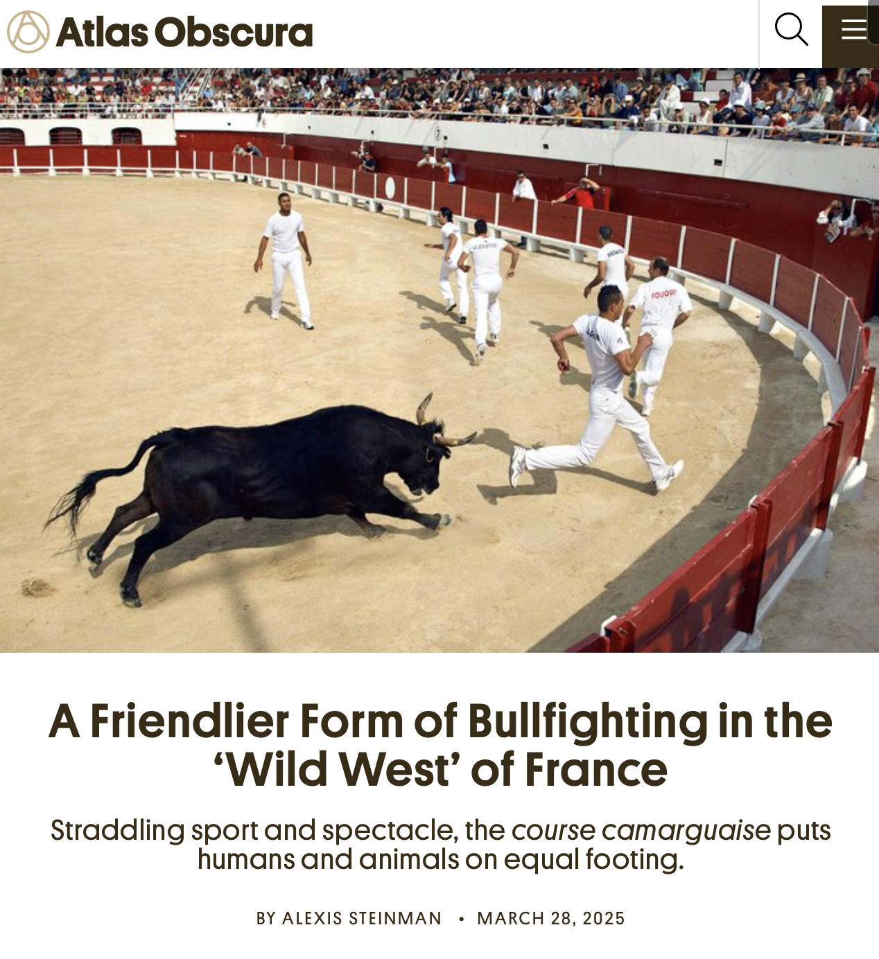 Course_Camarguaise_Bullfighting_France_Alexis_Steinman