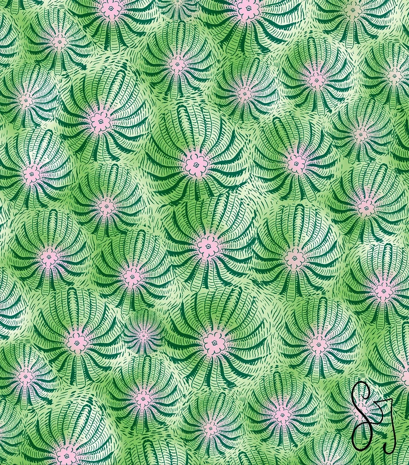 Close-up of stony coral

#sciart #coral #marinelife