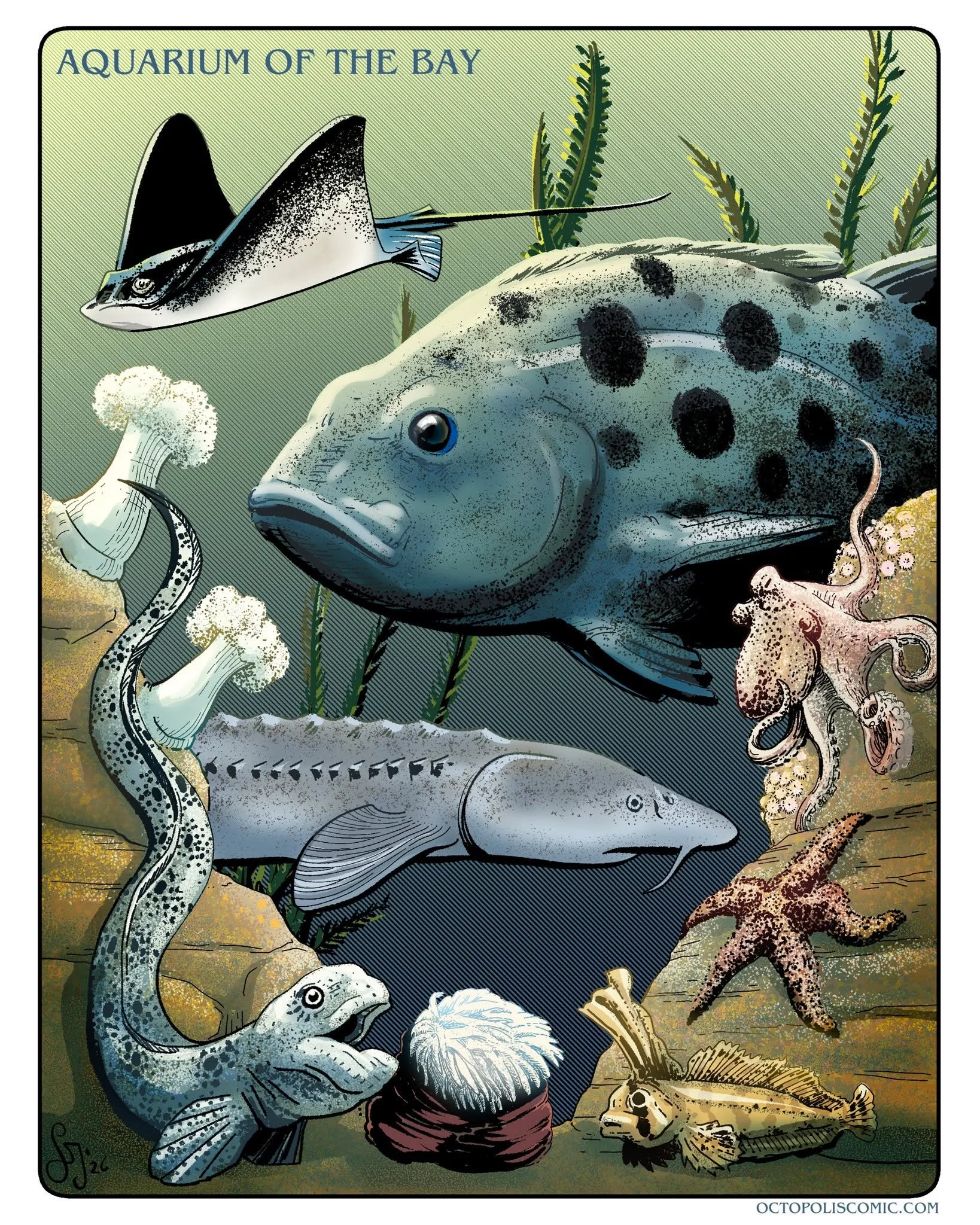 I'm speaking at the @aquariumofthebay  today, so I made this print for the occasion! 
Join me today, Saturday, March 14 at 12:30PM in the Farallon Room for &ldquo;How to Draw an Octopus&rdquo;. 🐙 ✏️

#marinelife #sciart #aquarium #octopus #workshop