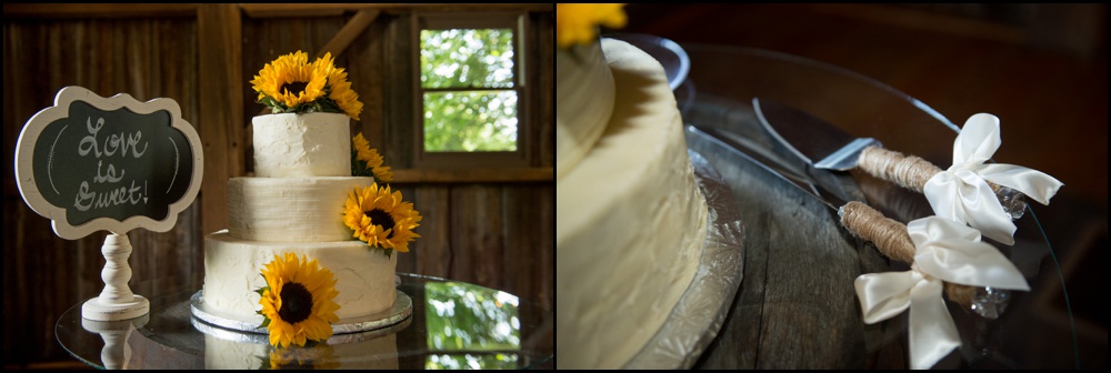 Mustard Seed Garden Wedding Pictures-029.jpg