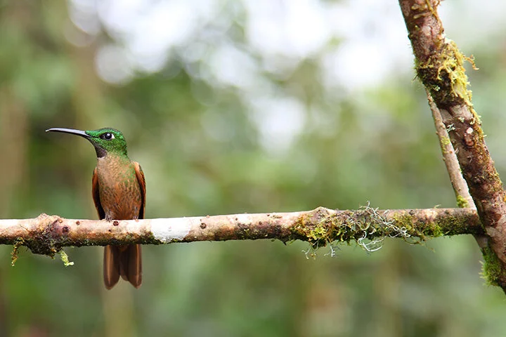 Web 4538836249_517bb9e2f9_o.jpg