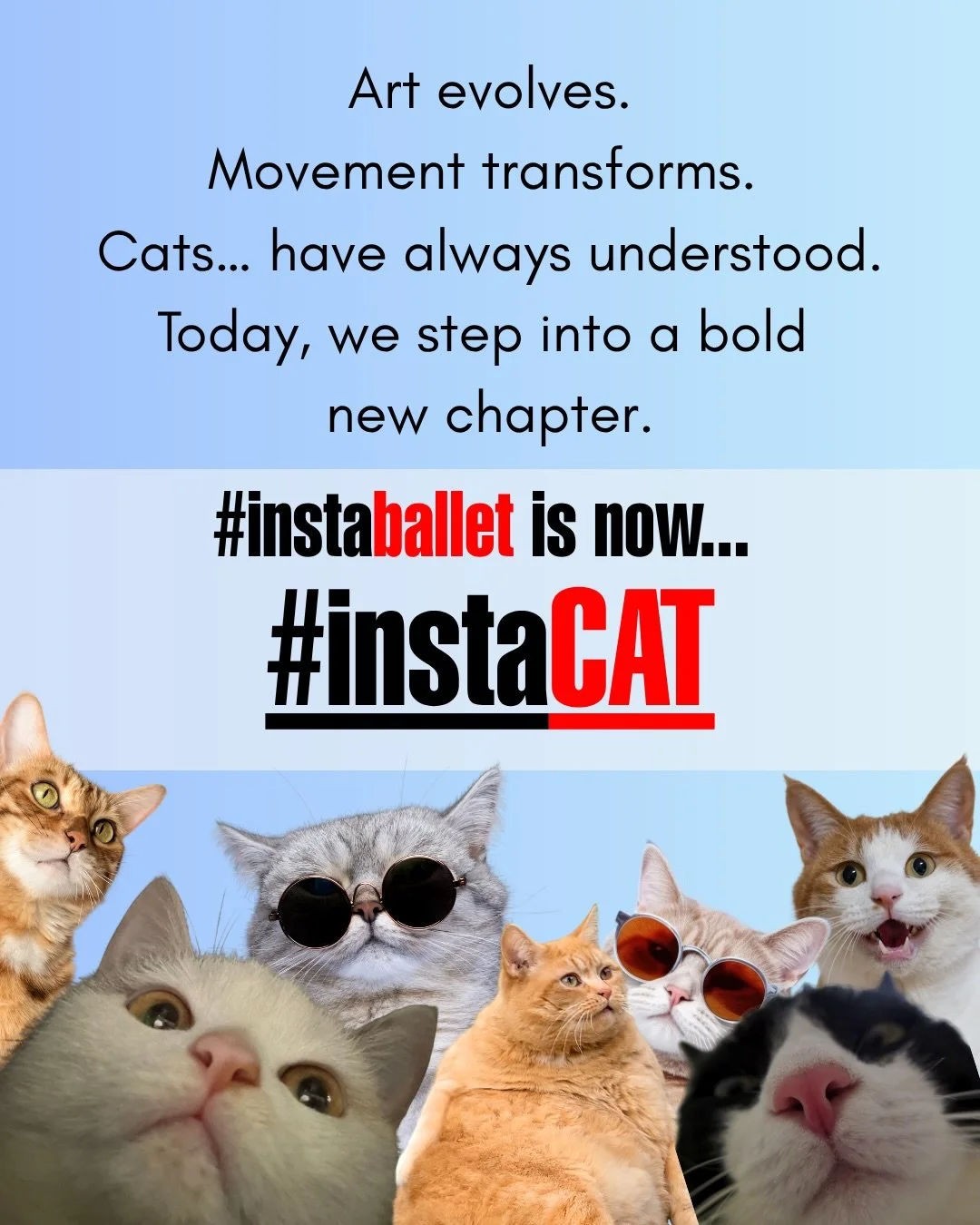 Art evolves. Movement transforms. And today&hellip; we follow the experts.

Introducing our rebrand: #instaCAT 🐱

From here on out, we&rsquo;ll be taking creative direction from our feline collaborators, embracing a new methodology rooted in chaos, 