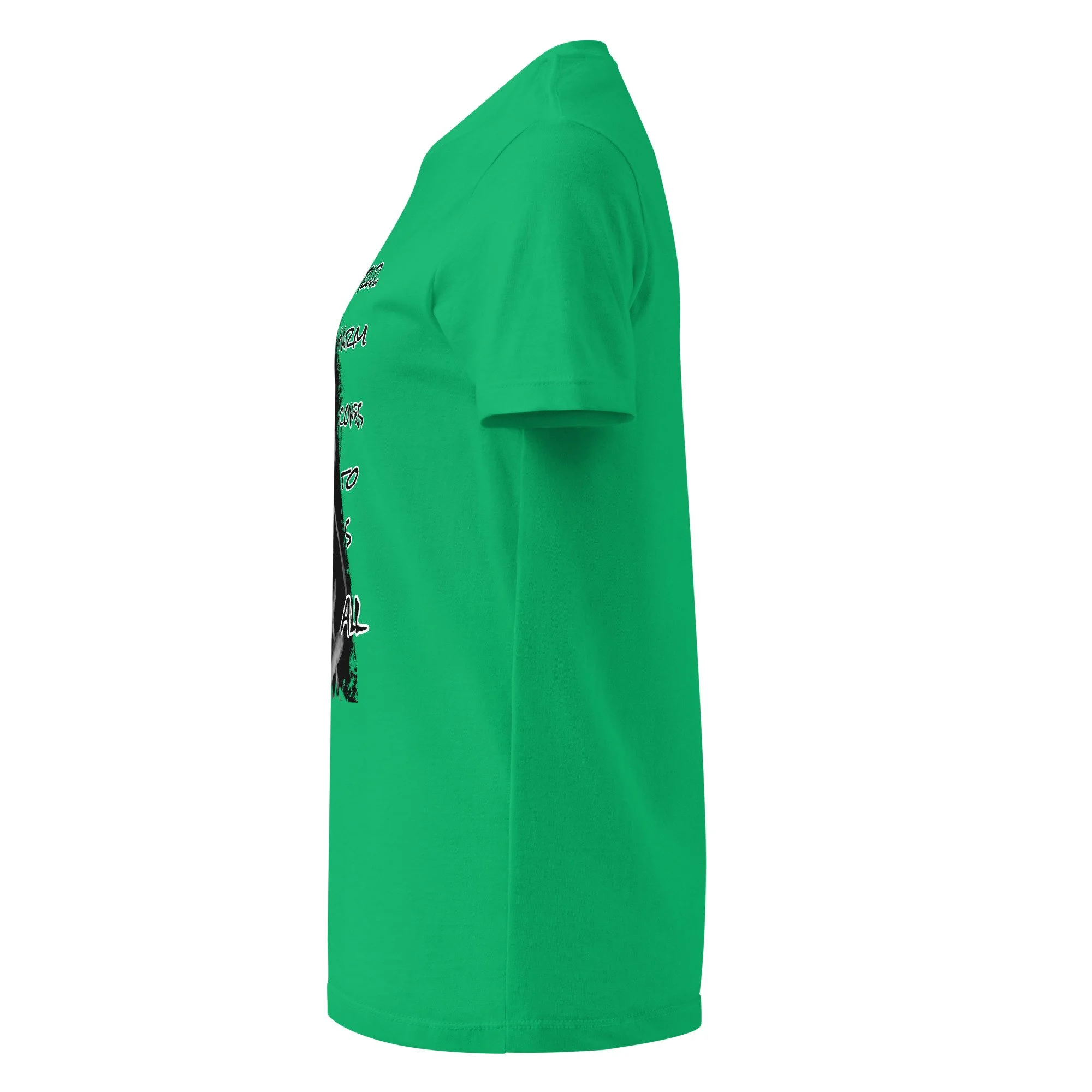 womens-basic-softstyle-t-shirt-irish-green-left-682c642131ff9.jpg