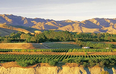winery-marlborough-wakefileddowns-image.jpg