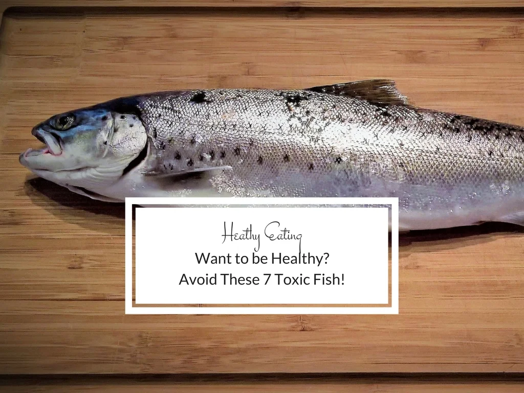 This fish looks fresh and delicious but looks can be deceiving. It could contain high levels of mercury
