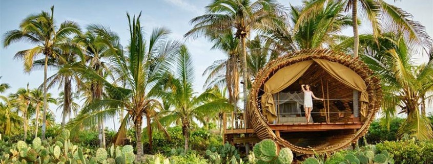 Wild & Free | Reboot with Yoga & Nature | Mexico's Southern Pacific Coast April 26th - May 1st, 2017