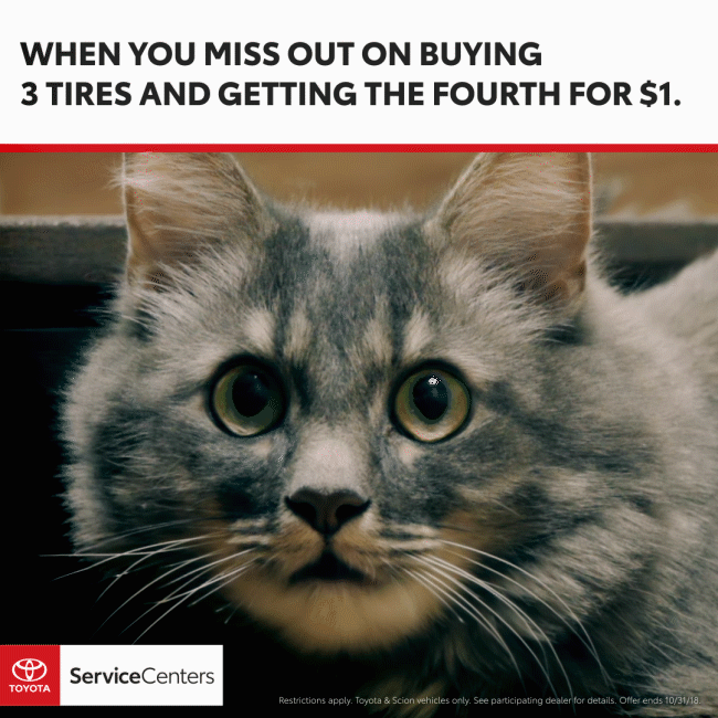 10-TOYOTA-TireSavings-AngryCat.gif