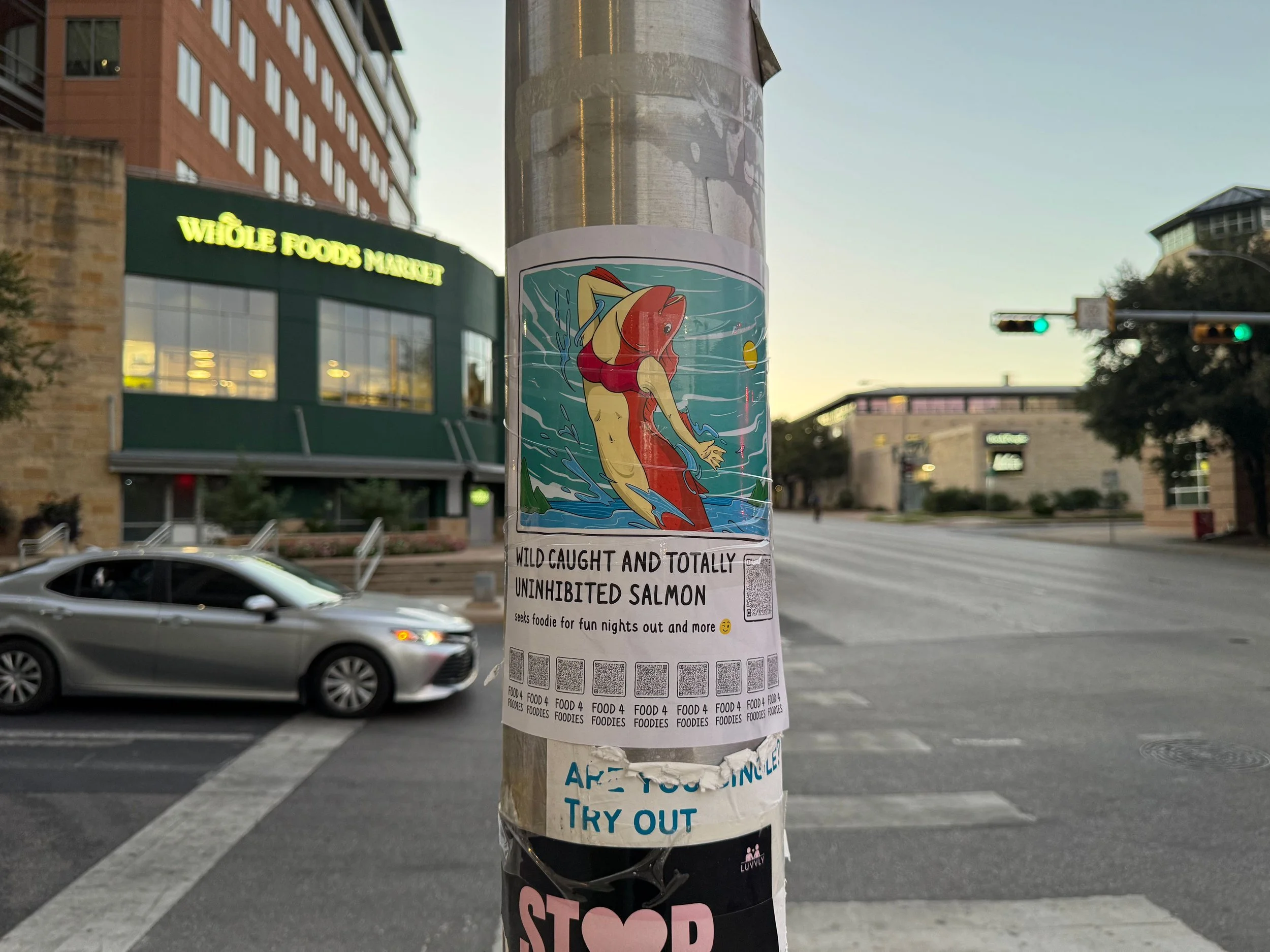 IMG_5386.jpeg