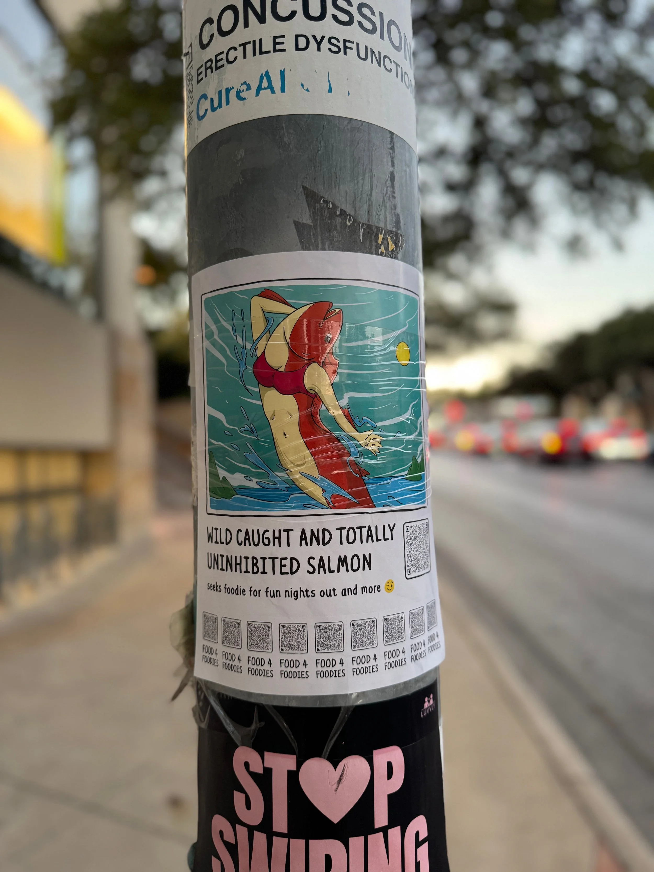 IMG_5380.jpeg